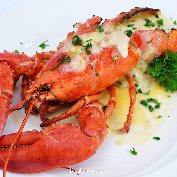 Baked Canadian Lobster with Cheese